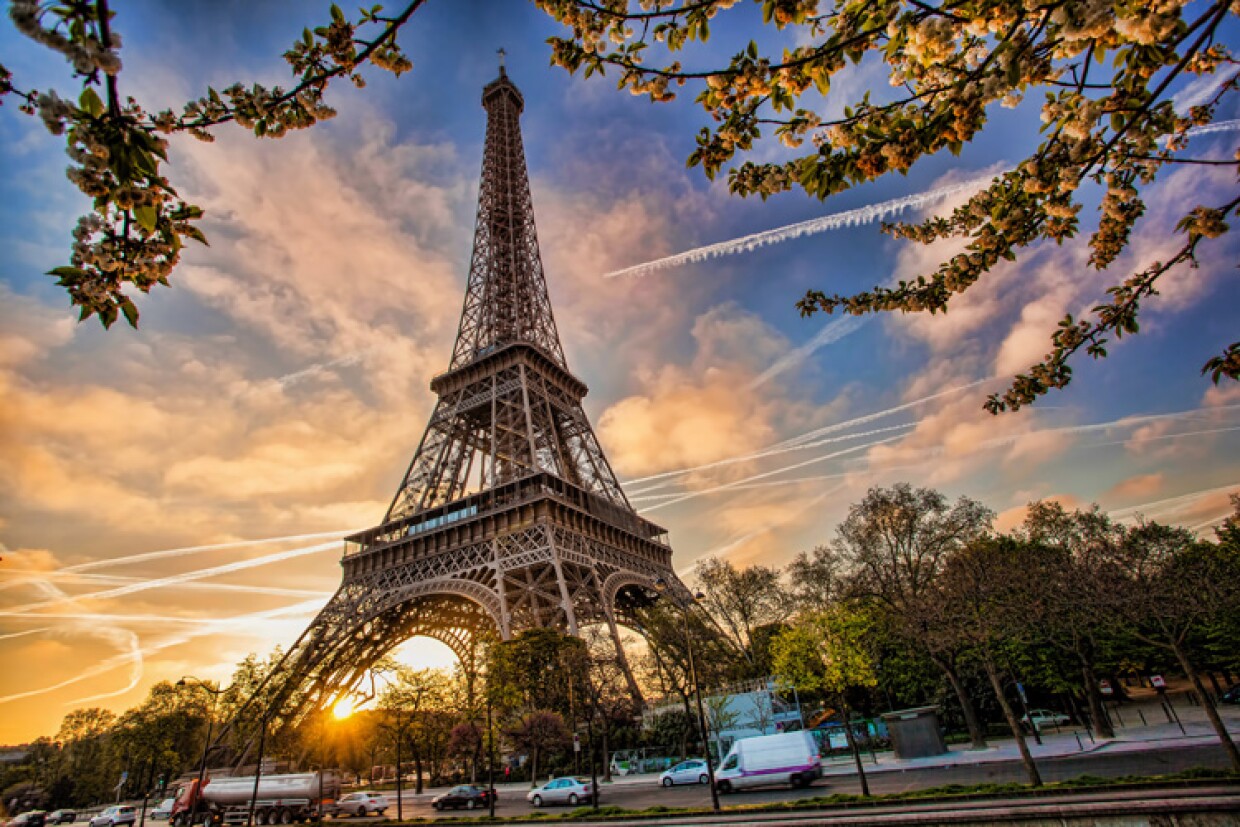 Turkish Airlines Paris Office