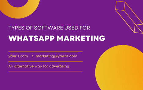 Whatsapp Marketing: Transforming Communication Strategies