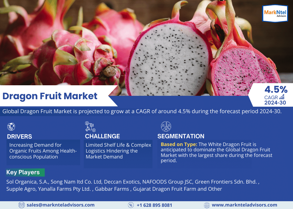 Dragon Fruit Market Research 2024-2030: Size, Industry Trends, Demand, Investment and Future Scope