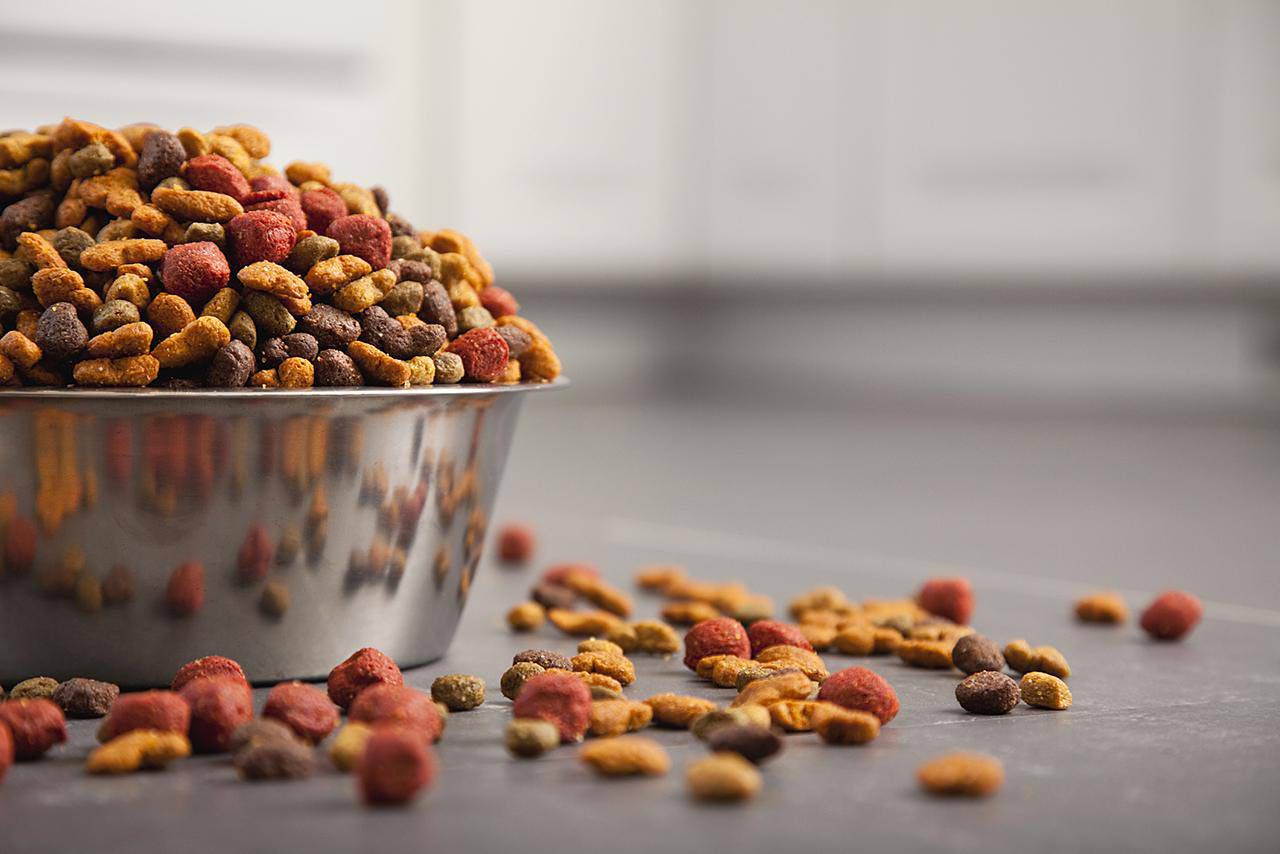 Pet Food Market Size, Trends, Growth Analysis and Forecast by 2028