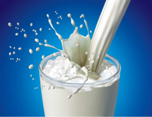 UHT Milk Manufacturing Project Report 2024: Business Plan, Plant Setup, Cost Analysis and Machinery Requirements