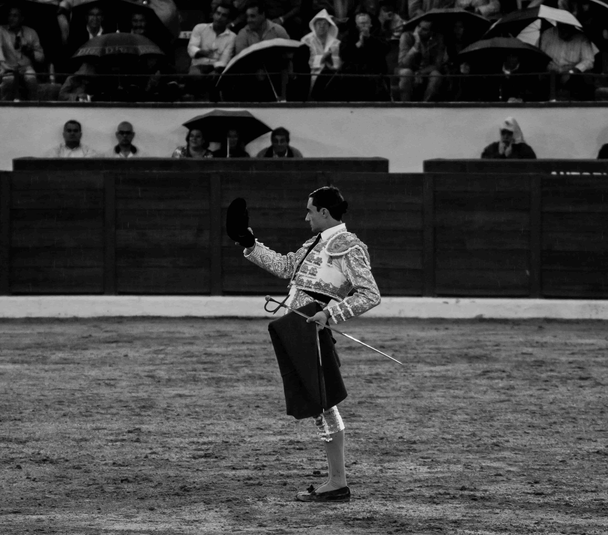 The Art and Controversy of Bullfighting: Tradition, Spectacle, and Ethical Concerns