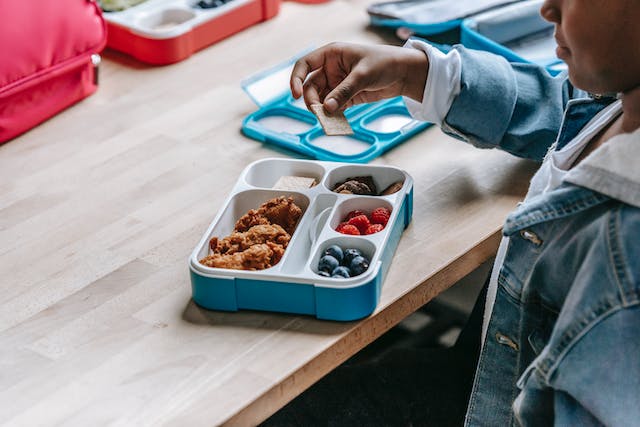 Cool and Compact: Mini Lunch Bags Making a Big Impact