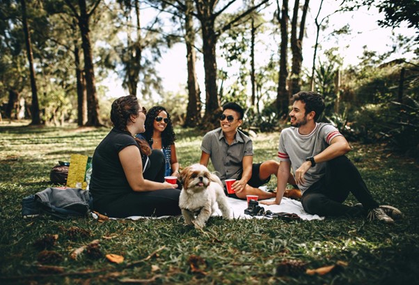 The Aussie Dog as a Wingman- How Dogs Can Improve Your Social Life